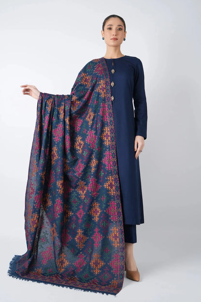Bareeze 6192 | Premium Heavy Embroidered Winter Suit