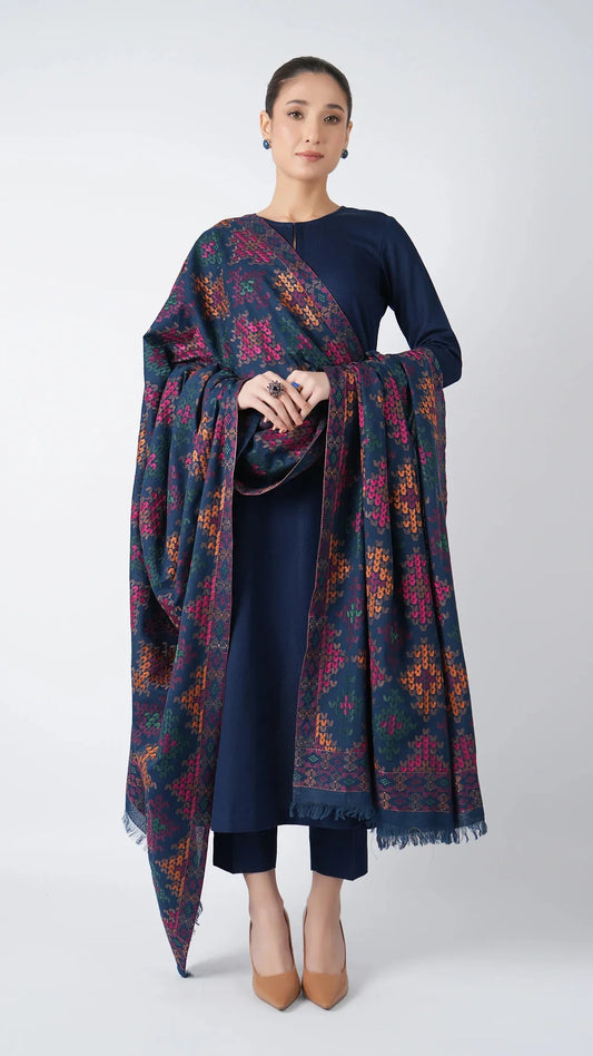 Bareeze 6192 | Premium Heavy Embroidered Winter Suit