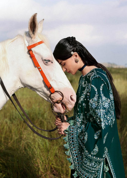 HUSSAIN REHAR 6181